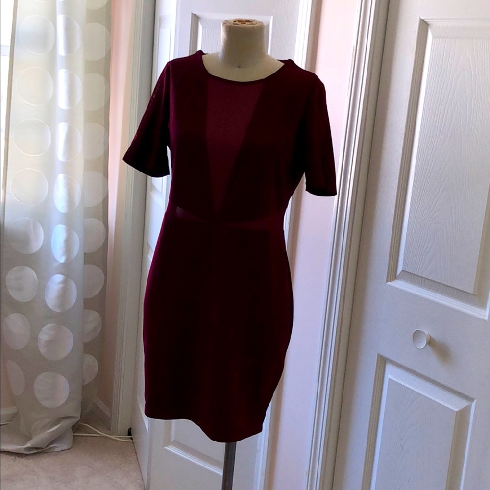 Cranberry mesh paneled dress